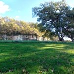 Extérieur vue sur les bois